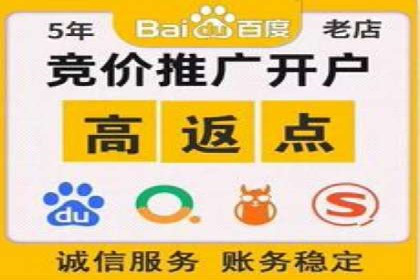 成功案例揭秘：SEM托管公司的策略与技巧
